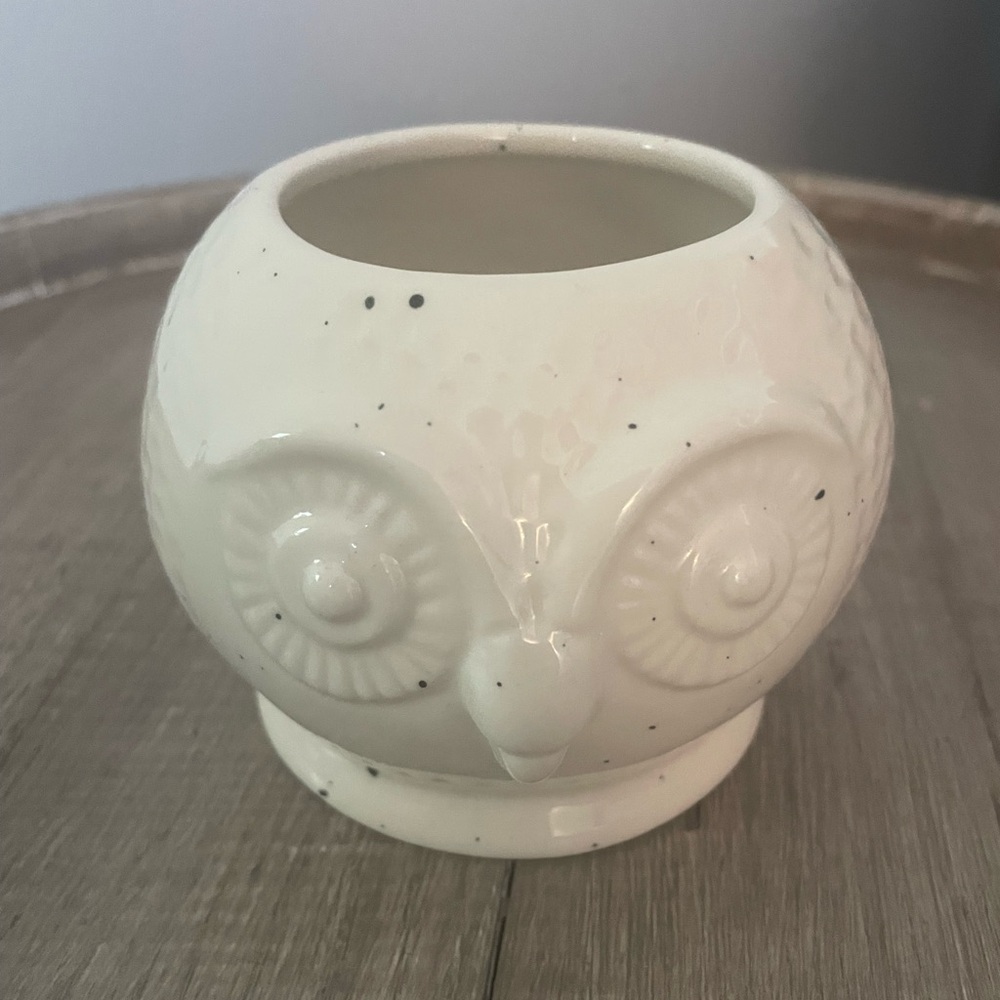 Unlisted White Ceramic Owl Planter Art